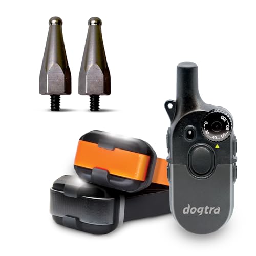 Dogtra 200iQ 2-Dog Remote Training E-Collar with Titanium Contact 1" | 1/2 Mile Range, 100 Levels, Tone & Vibration, Compact, Waterproof, One-Handed Control, Ideal for Long-Haired Dogs