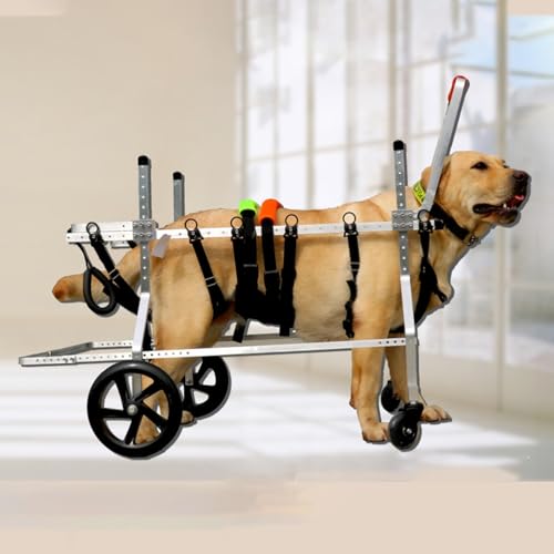 Adjustable 4-Wheel Dog Wheelchair for Small, Medium, Large Breeds - Full Support Mobility Aid for Disabled Pets - XS Size, Dog Breeds