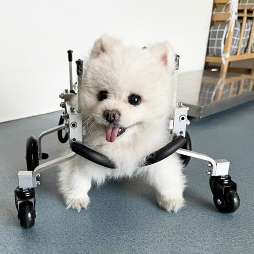 Adjustable 4-Wheel Dog Wheelchair for Small, Medium, Large Breeds - Full Support Mobility Aid for Disabled Pets - XS Size, Dog Breeds