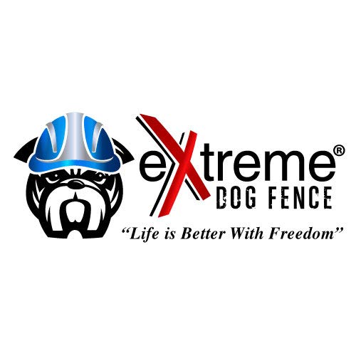 Electric Dog Fence + Remote Trainer 2-in-1, 2 Dog, 500 ft, DIY Install