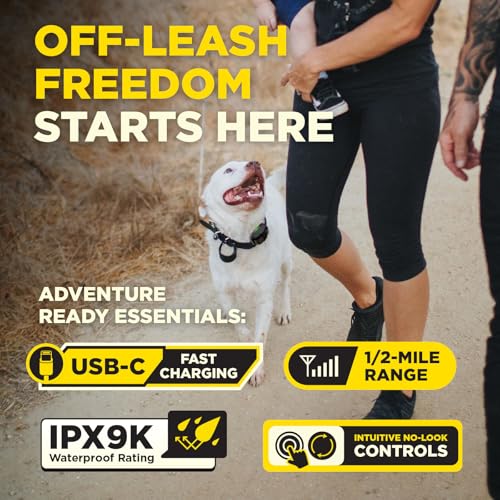 Dogtra 200iQ 2-Dog Remote Training E-Collar with Titanium Contact 3/4" | 1/2 Mile Range, 100 Levels, Tone & Vibration, Compact, Waterproof, One-Handed Control, Ideal for Short-Haired Dogs