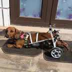 All Terrain Dog Wheelchair for Back Legs - 2-Wheel Pet Mobility Aid, Adjustable Lightweight Dog Leg Brace, Hip Support for Active Dogs, Enhance Pet Mobility