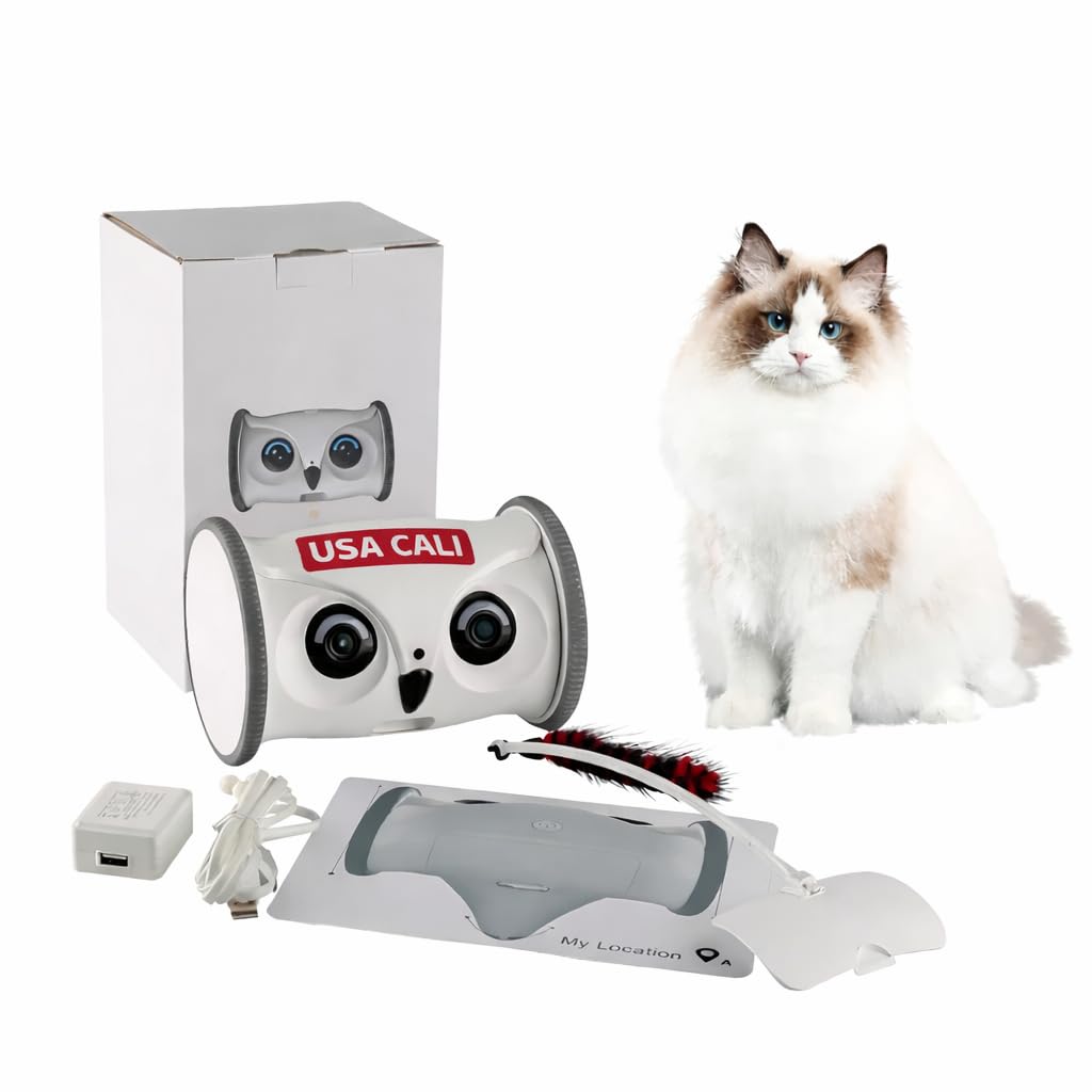 Interactive Rolling Pet Toy, Smart Moving Owl Toy for Cats & Dogs, Automatic Indoor Play Toy for Boredom Relief