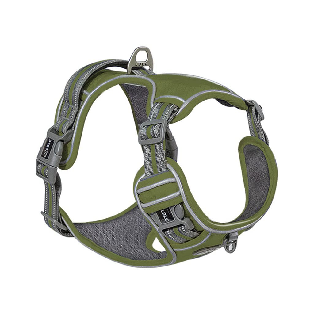 Nylon Pet Dog Harness Plus Padded Adjustable Safety Leash Suitable for Medium and Large Dogs (D L)