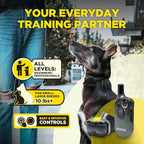 Dogtra 200iQ 2-Dog Remote Training E-Collar with Titanium Contact 1" | 1/2 Mile Range, 100 Levels, Tone & Vibration, Compact, Waterproof, One-Handed Control, Ideal for Long-Haired Dogs