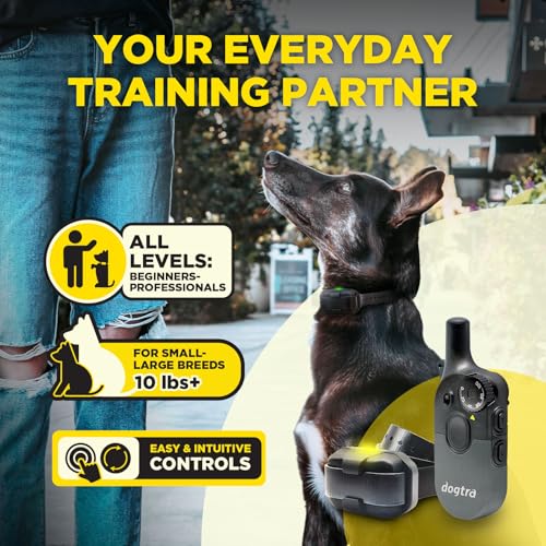 Dogtra 200iQ 2-Dog Remote Training E-Collar with Titanium Contact 3/4" | 1/2 Mile Range, 100 Levels, Tone & Vibration, Compact, Waterproof, One-Handed Control, Ideal for Short-Haired Dogs