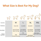 Pet Sofa Bed, Metal Frame Dog Bed Couch with guardrail, for Medium Big Pet Sitting(Style 1,Medium)