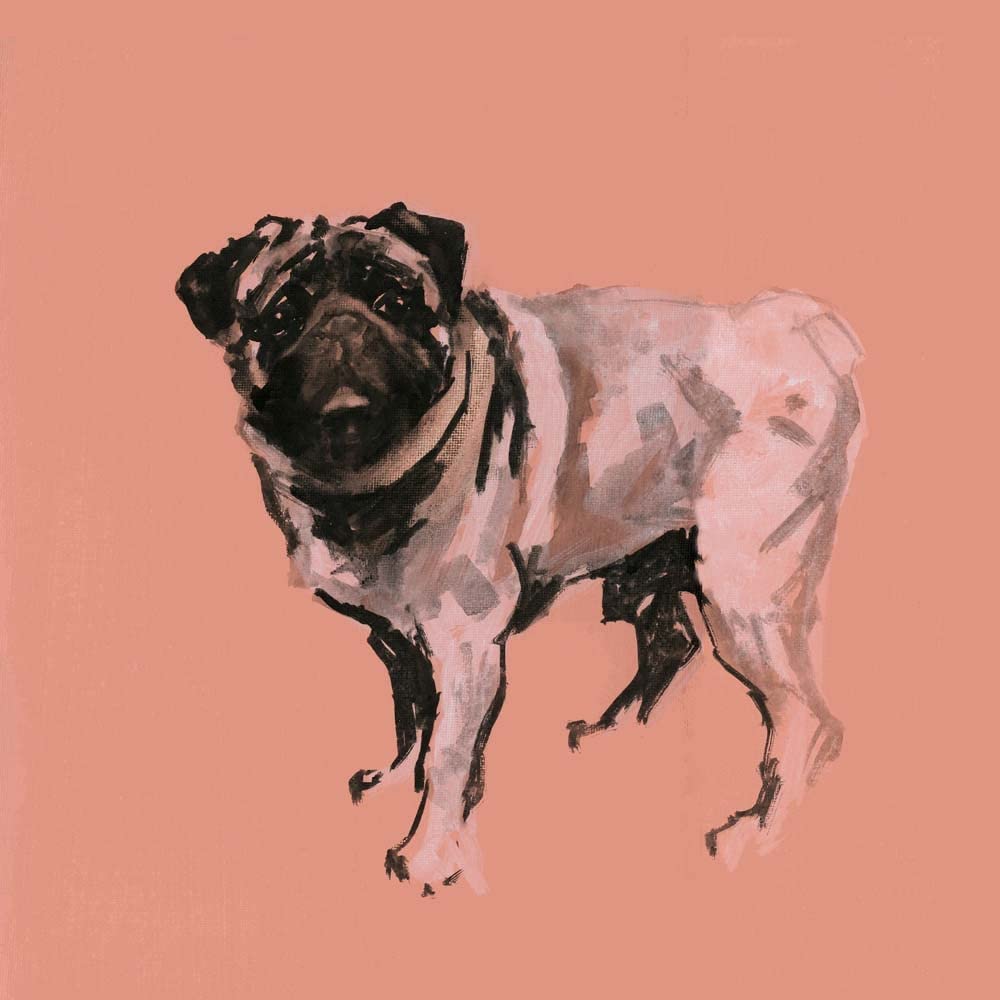 A Very Pop Modern Dog VII by Cartissi Canvas Art Wall Picture, Museum Wrapped with Black Sides, 18 x 18 inches