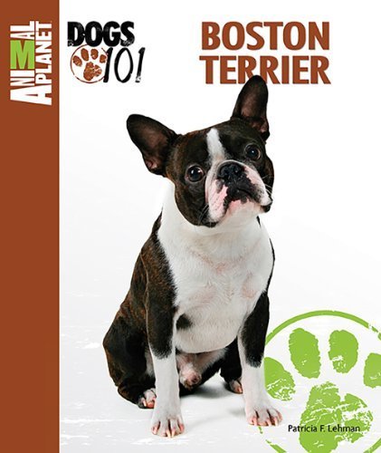 Boston Terrier (Animal Planet? Dogs 101) by Patricia F. Lehman (2013-09-01)