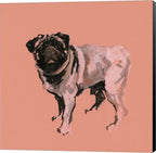 A Very Pop Modern Dog VII by Cartissi Canvas Art Wall Picture, Museum Wrapped with Black Sides, 18 x 18 inches