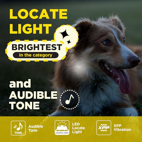 Dogtra 200iQ 2-Dog Remote Training E-Collar with Titanium Contact 3/4" | 1/2 Mile Range, 100 Levels, Tone & Vibration, Compact, Waterproof, One-Handed Control, Ideal for Short-Haired Dogs