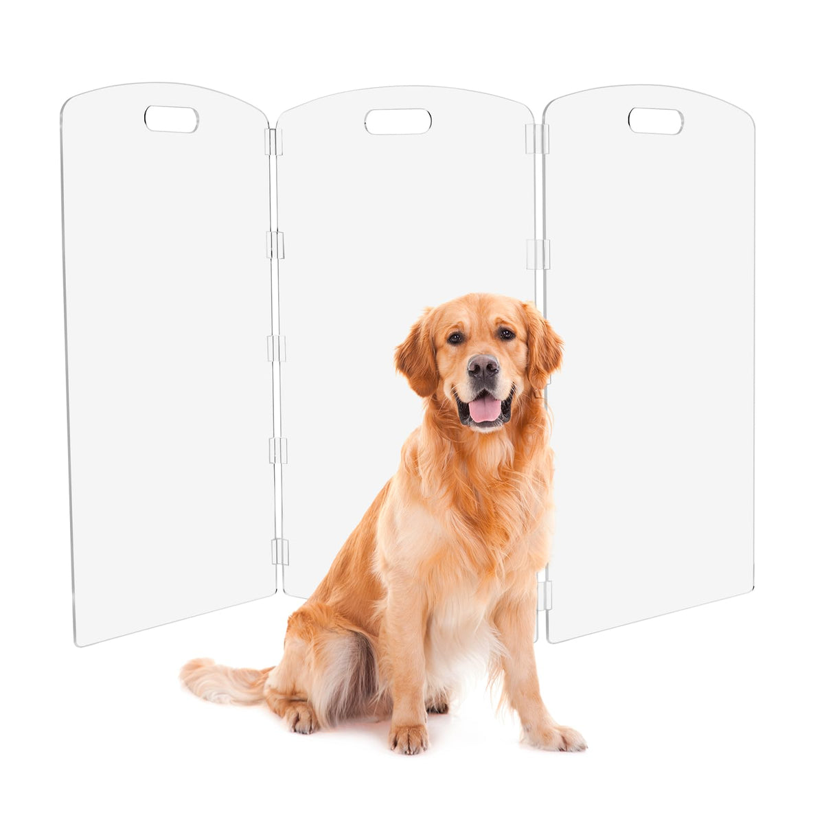 Modern Frame Clear Acrylic Freestanding Pet Gate - 24" High Extra-Wide Folding 6-Panel Dog Barrier for Doorways, Stairs & Large Openings, Indoor Fence for Dogs, Puppies & Cats