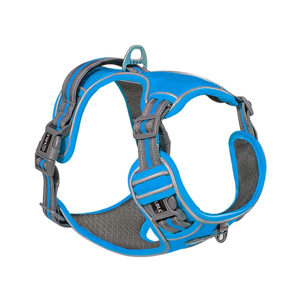 Nylon Pet Dog Harness Plus Padded Adjustable Safety Leash Suitable for Medium and Large Dogs (D L)