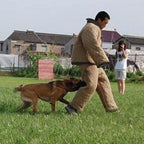 Dog Training Suit,Training Dog Protective Clothing,Unisex Body Protection Bite Suit Jacket for Dog Training Bite Protection(S)