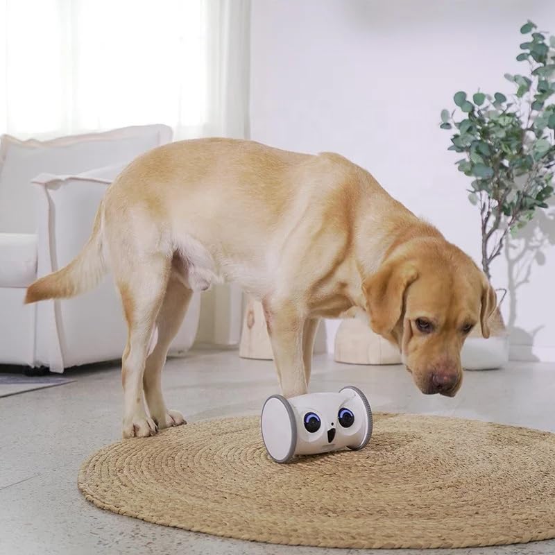 Interactive Rolling Pet Toy, Smart Moving Owl Toy for Cats & Dogs, Automatic Indoor Play Toy for Boredom Relief