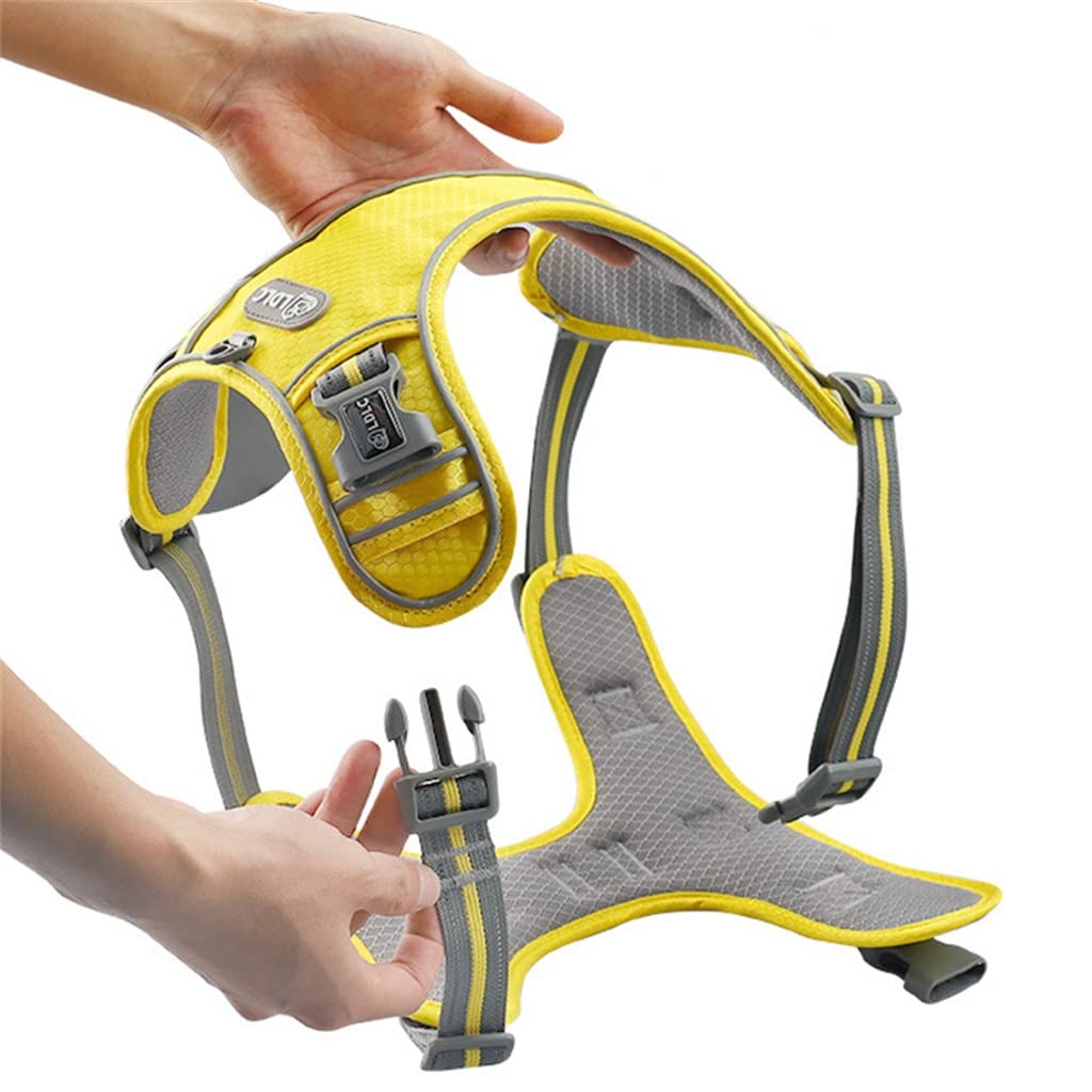 Nylon Pet Dog Harness Plus Padded Adjustable Safety Leash Suitable for Medium and Large Dogs (D L)