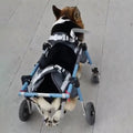 Corgi Dog 4 Wheel Chair for Small Medium Large Size Dogs, Full Support Pet Mobility Wheelchair for Hip, Adjustable Walk Leg Brace for Doggy(Pink,S)