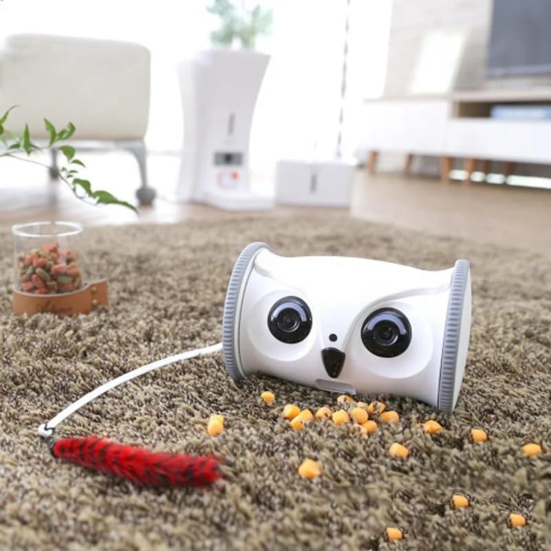 Interactive Rolling Pet Toy, Smart Moving Owl Toy for Cats & Dogs, Automatic Indoor Play Toy for Boredom Relief