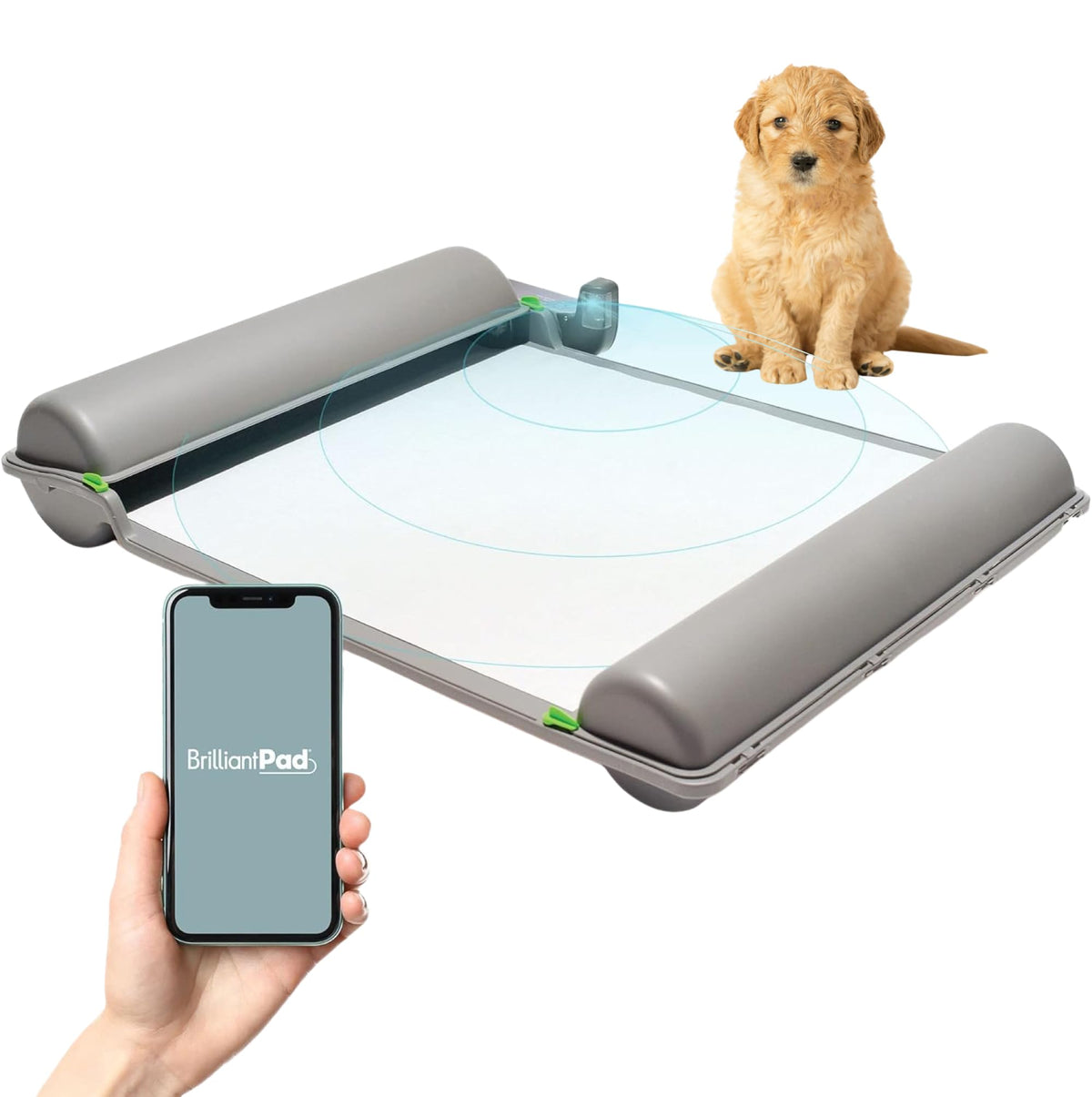 BrilliantPad Smart Self-Cleaning Indoor Dog Potty (Smartphone App + 1 Roll)