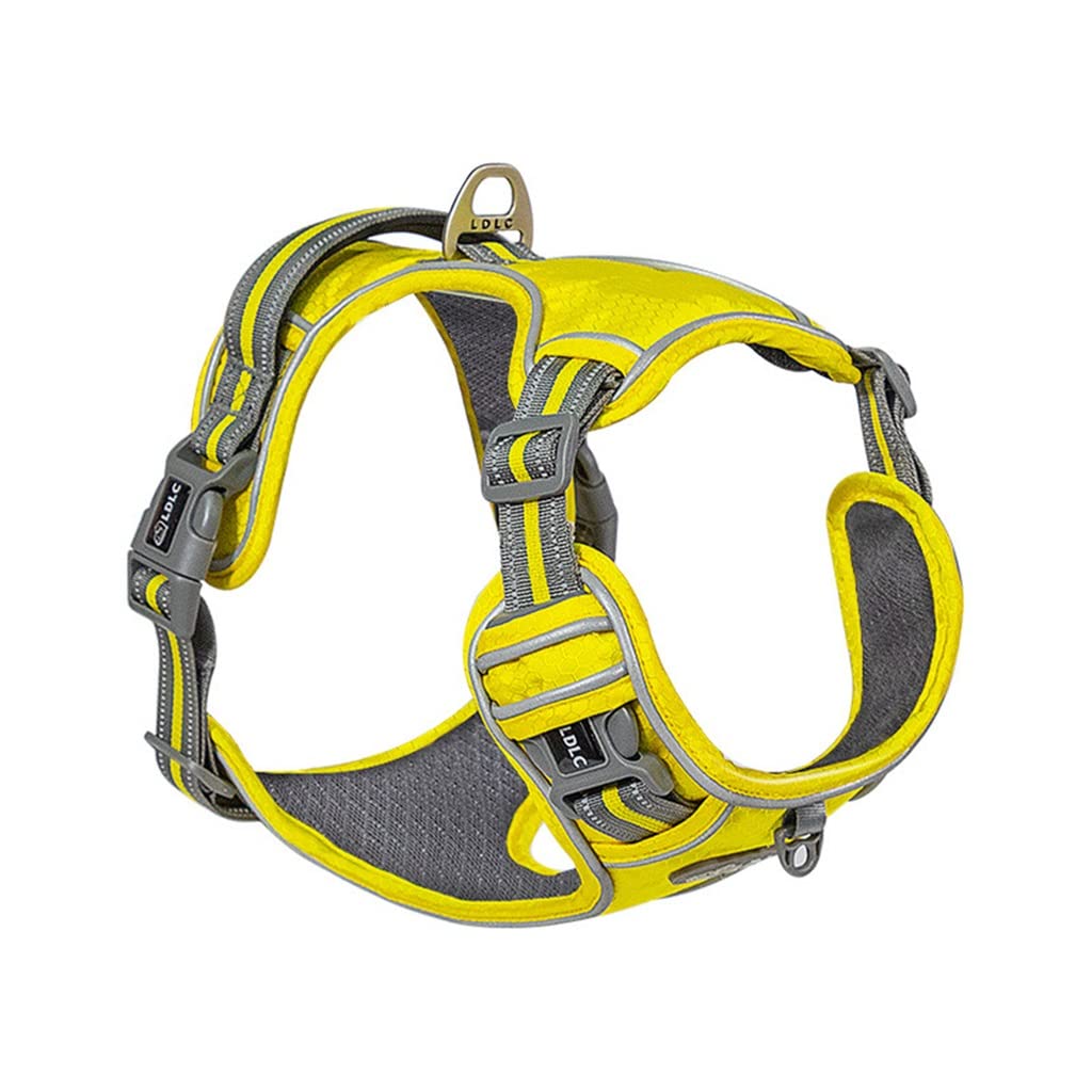 Nylon Pet Dog Harness Plus Padded Adjustable Safety Leash Suitable for Medium and Large Dogs (D L)