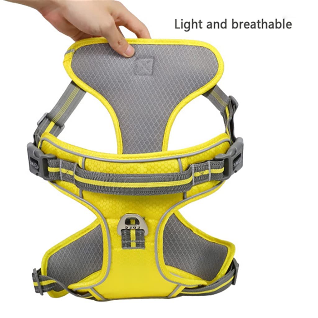 Nylon Pet Dog Harness Plus Padded Adjustable Safety Leash Suitable for Medium and Large Dogs (D L)