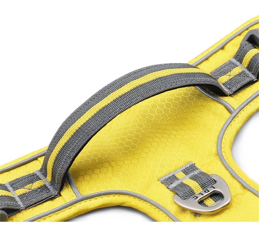 Nylon Pet Dog Harness Plus Padded Adjustable Safety Leash Suitable for Medium and Large Dogs (D L)