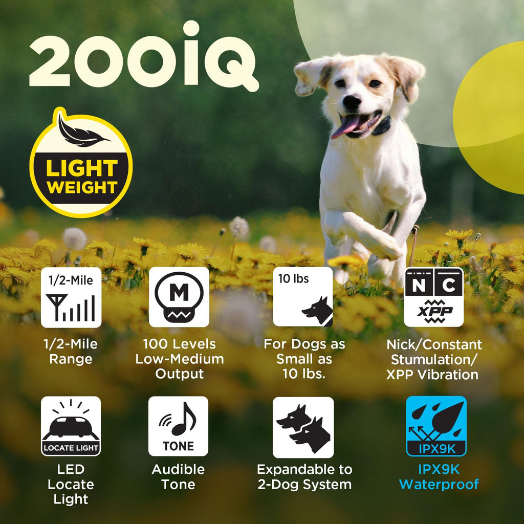 Dogtra 200iQ 2-Dog Remote Training E-Collar with Titanium Contact 1" | 1/2 Mile Range, 100 Levels, Tone & Vibration, Compact, Waterproof, One-Handed Control, Ideal for Long-Haired Dogs
