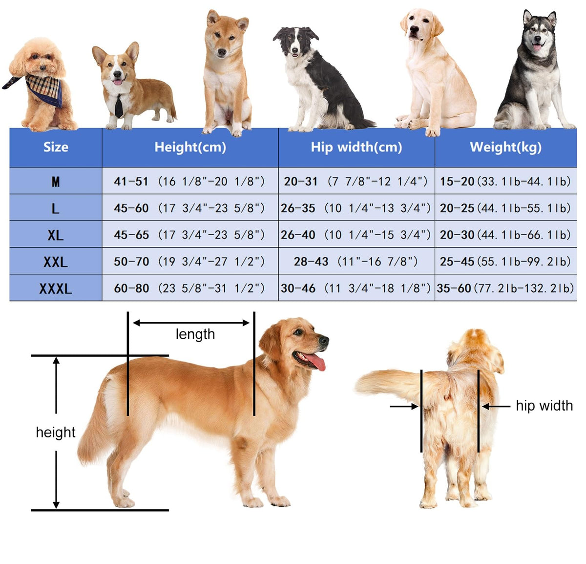 Back Legs Dog Wheelchair for Medium/Large, Adjustable Leg Brace Pet Mobility Aid Fit All Terrain, Animal Arthritis Mobility Support Trolley(Size XL)
