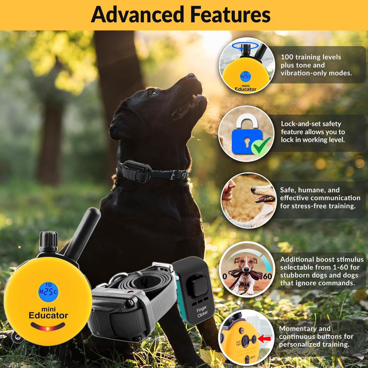 E-Collar Mini Educator ET-300 Remote Dog Training Collar, Yellow