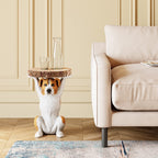 Kare 81956 Animal Side Table, Mister Jack, Height 20.5 inches (52 cm), Weight 14.3 lbs (6.5 kg), Dog
