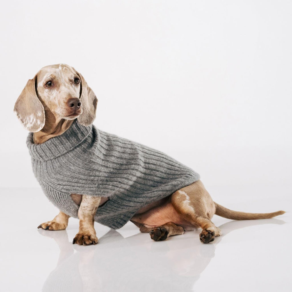 Luxury 3-Thread Cashmere Dog Sweater- Heather Gray Ribbed Knit with Leash Opening- Rialto Style- Made in Italy - Size XS