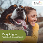 Trifexis for Dogs 60.1-120 lbs., 6ct