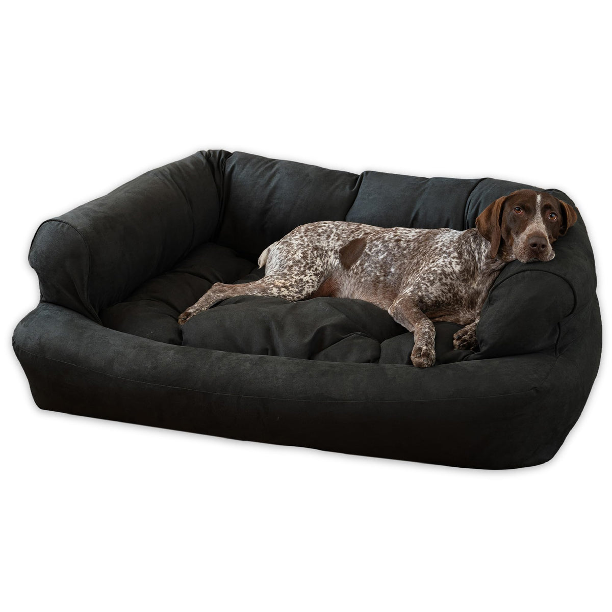Snoozer Pet Products - Overstuffed Luxury Dog Sofa | Small - Buckskin