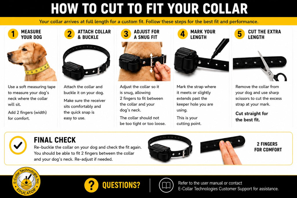 E-Collar Educator ET-302R-C Remote Dog Training Collar, 2 Dog, Red