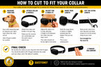 E-Collar Educator ET-302R-C Remote Dog Training Collar, 2 Dog, Red