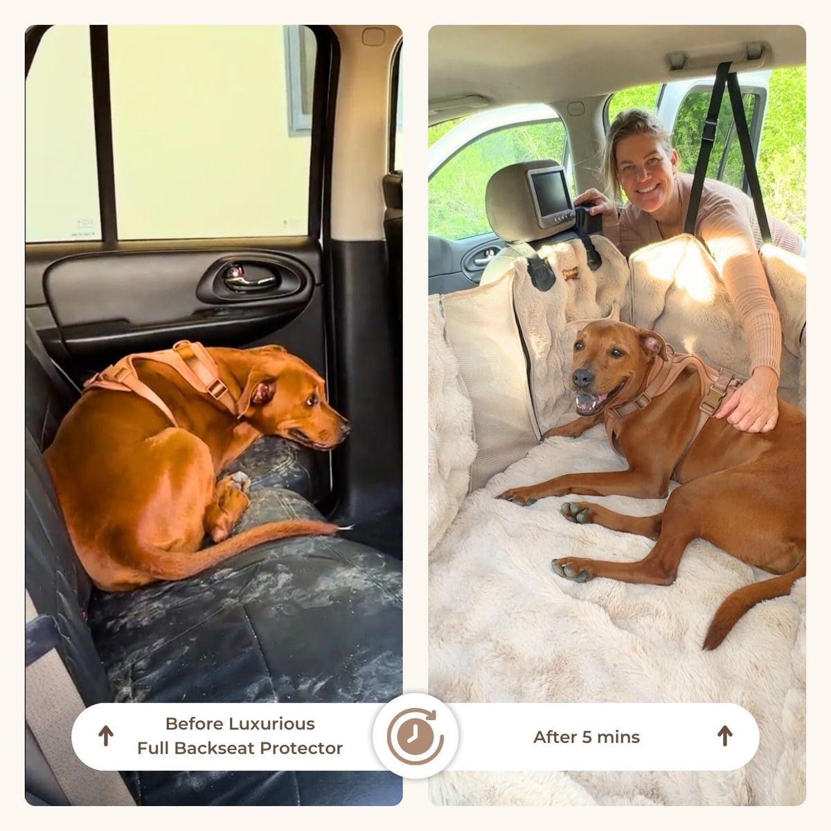 Pelsbarn Luxurious Dog Backseat Protector, Car Hammock with Blanket, Beige