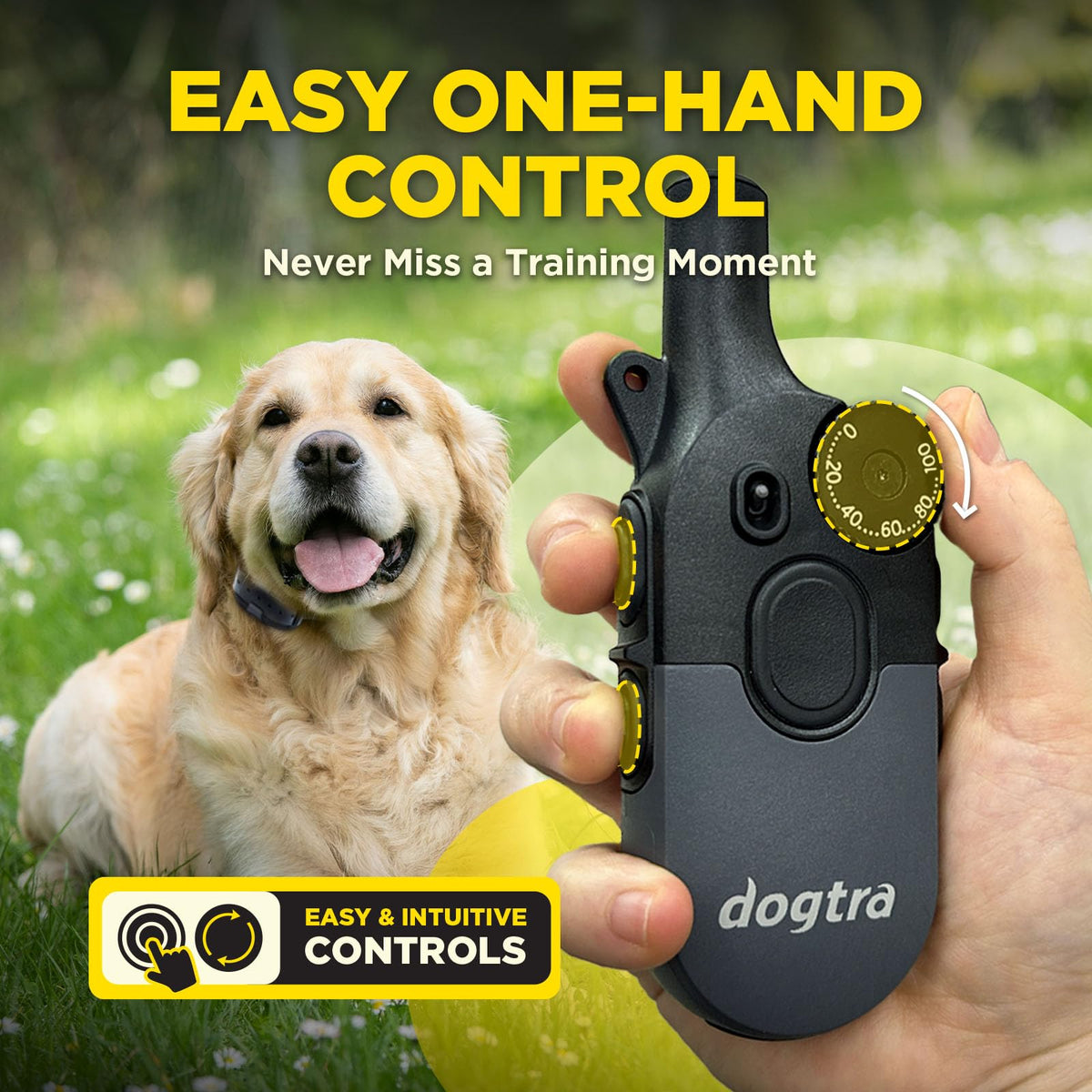 Dogtra 200iQ 2-Dog Remote Training E-Collar with Titanium Contact 1" | 1/2 Mile Range, 100 Levels, Tone & Vibration, Compact, Waterproof, One-Handed Control, Ideal for Long-Haired Dogs