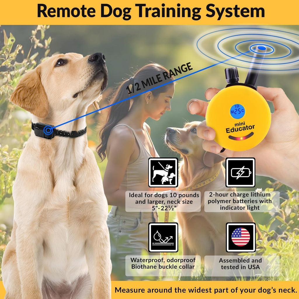 E-Collar Educator ET-302R-C Remote Dog Training Collar, 2 Dog, Red