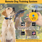 E-Collar Educator ET-302R-C Remote Dog Training Collar, 2 Dog, Red