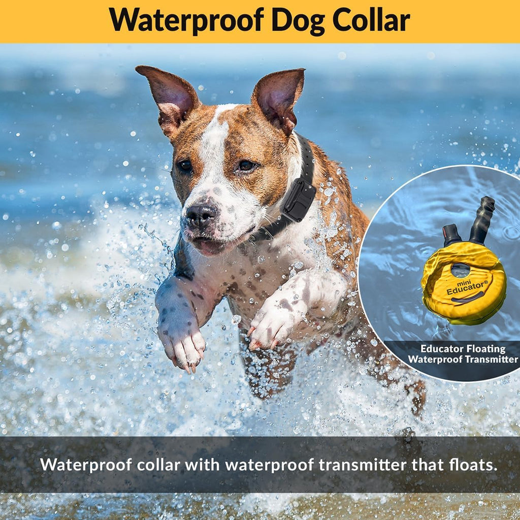E-Collar Educator ET-302R-C Remote Dog Training Collar, 2 Dog, Red