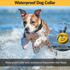 E-Collar Educator ET-302R-C Remote Dog Training Collar, 2 Dog, Red