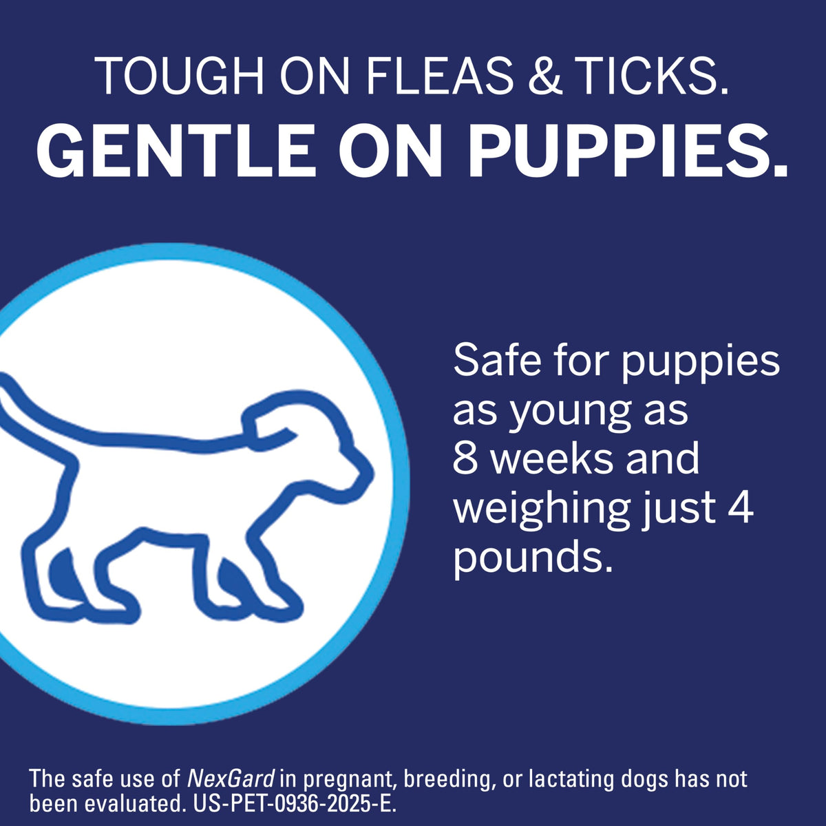 NexGard® (afoxolaner) Flea and Tick Protection for Dogs Oral Soft Beef Flavored Chewables, 24.1 to 60 lbs. (Purple Box) 6 Chews (6 Month Supply)