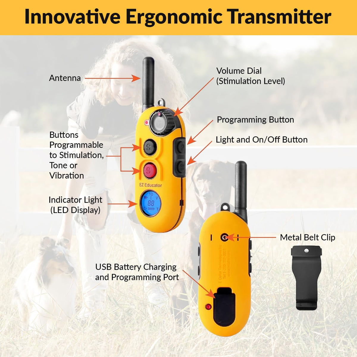 E-Collar Educator EZ-900 Dog Training Collar with Remote, Yellow