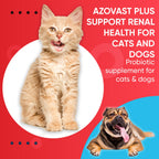 Azovast Plus Kidney Health Supplement for Dogs & Cats -24 Billion CFU- NO Refrigeration Required - Help Support Kidney Function & Manage Renal Toxins - Renal Care Supplement Capsule(U.S.A)(360 Caps)