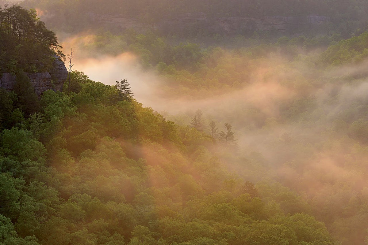 Kentucky: Seasons of the Bluegrass
