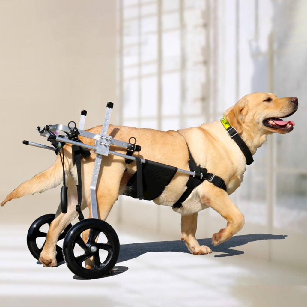 Back Legs Dog Wheelchair for Medium/Large, Adjustable Leg Brace Pet Mobility Aid Fit All Terrain, Animal Arthritis Mobility Support Trolley(Size XL)
