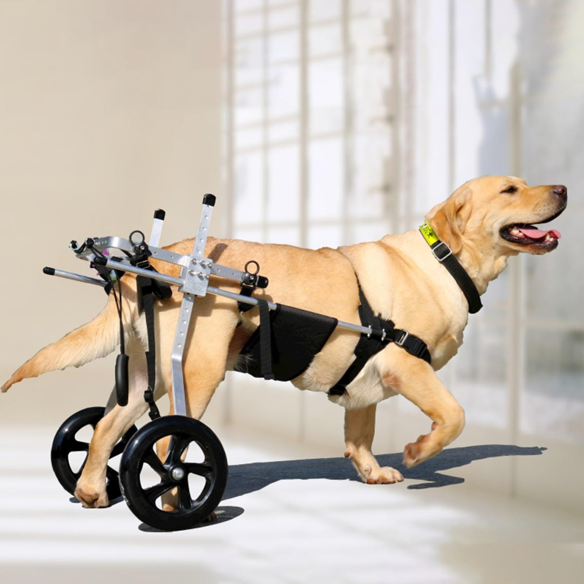 Back Legs Dog Wheelchair for Medium/Large, Adjustable Leg Brace Pet Mobility Aid Fit All Terrain, Animal Arthritis Mobility Support Trolley(Size XL)