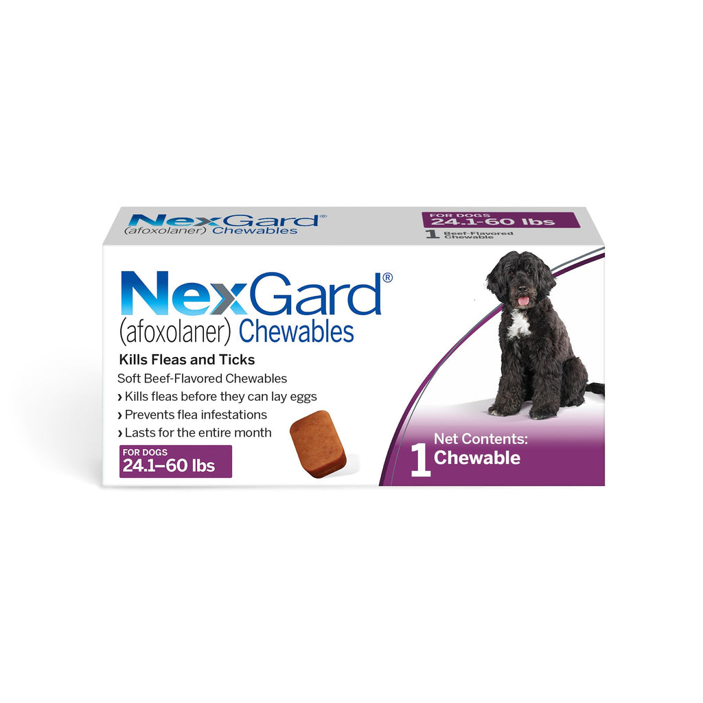 NexGard® (afoxolaner) Flea and Tick Protection for Dogs Oral Soft Beef Flavored Chewables, 24.1 to 60 lbs. (Purple Box) 6 Chews (6 Month Supply)