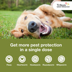 Trifexis for Dogs 60.1-120 lbs., 6ct