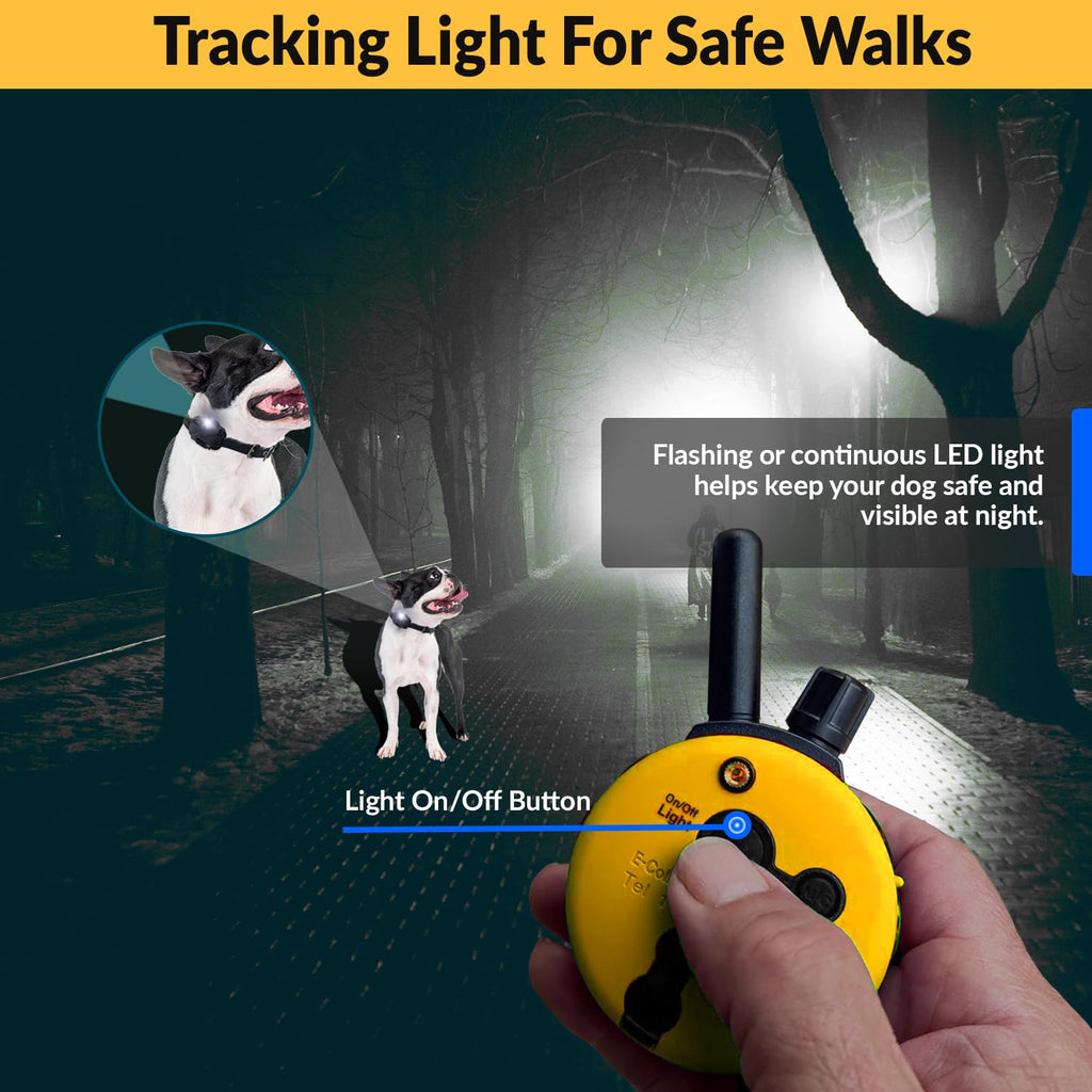 E-Collar Educator ET-302R-C Remote Dog Training Collar, 2 Dog, Red